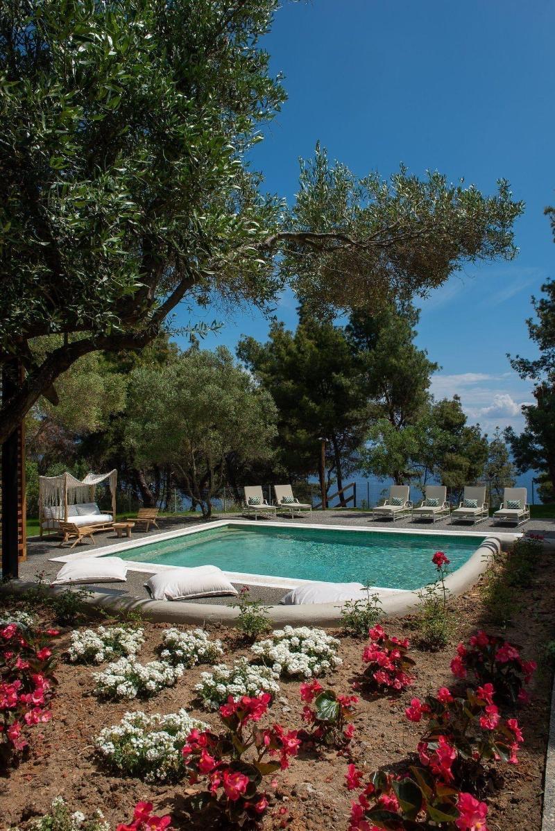 Elies 33 Bio Retreat (Adults Only) Ξενοδοχείο Άφυτος Εξωτερικό φωτογραφία