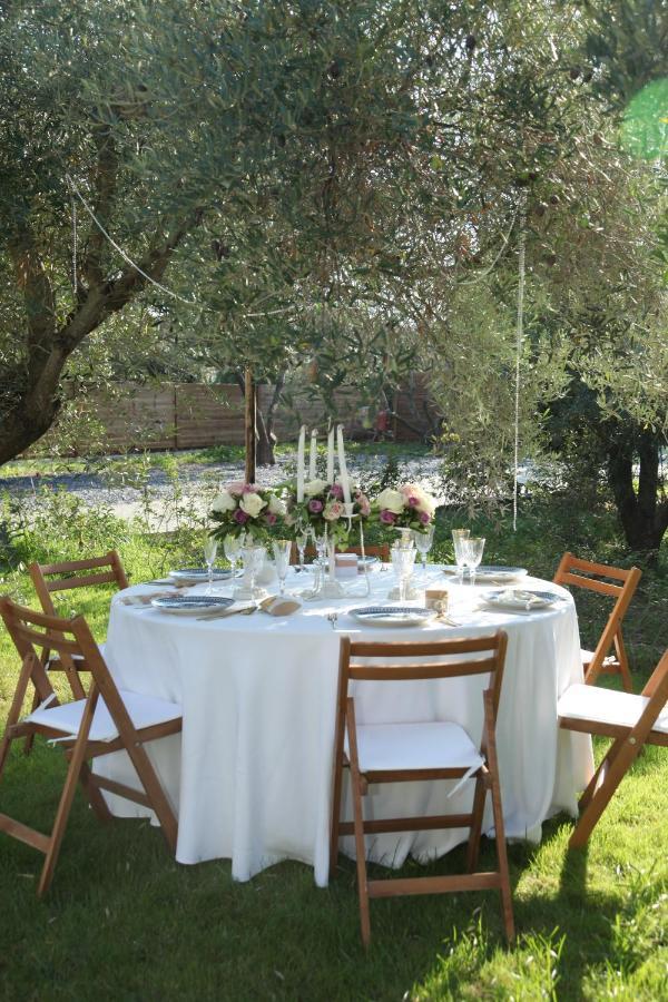 Elies 33 Bio Retreat (Adults Only) Ξενοδοχείο Άφυτος Εξωτερικό φωτογραφία