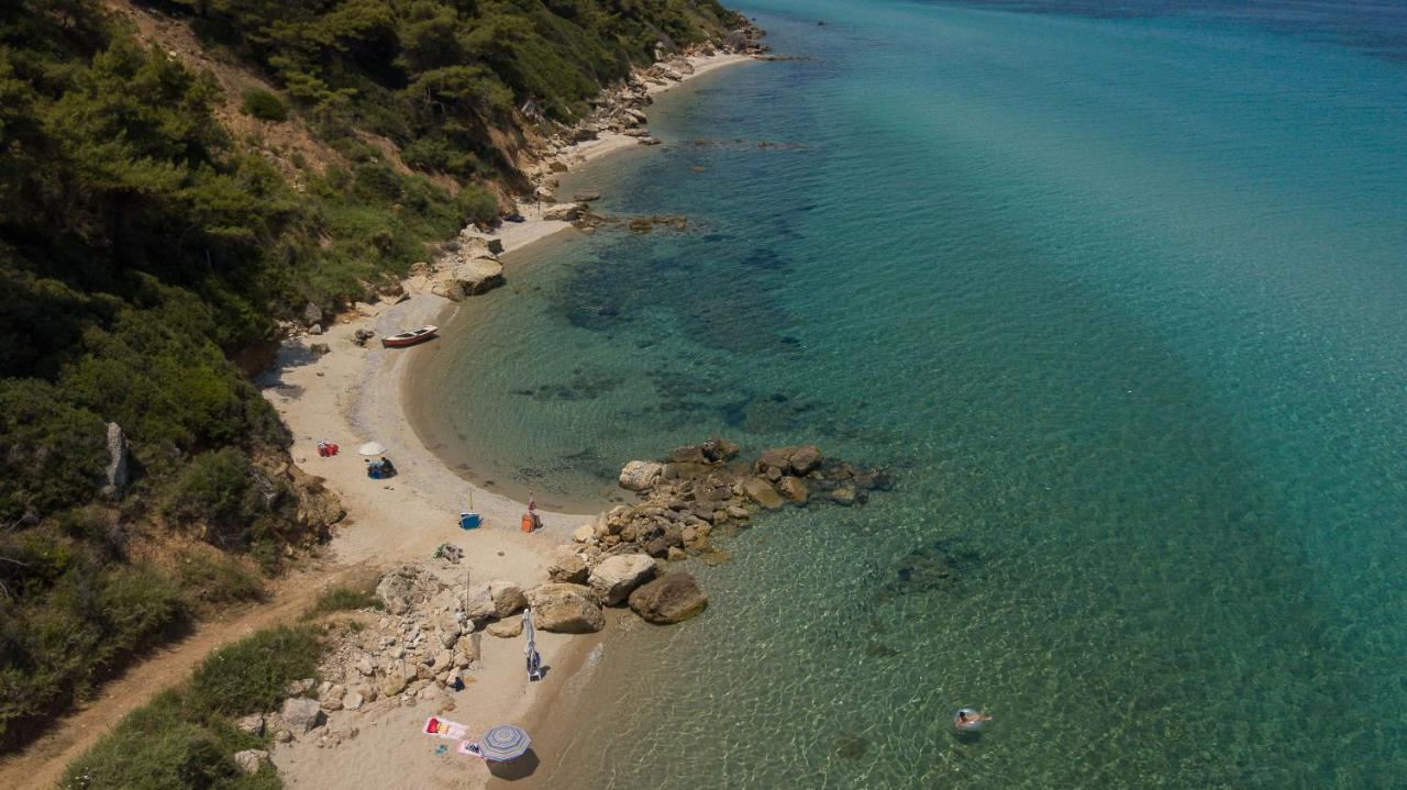 Elies 33 Bio Retreat (Adults Only) Ξενοδοχείο Άφυτος Εξωτερικό φωτογραφία