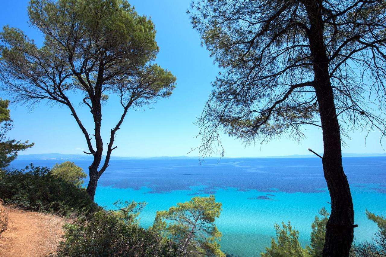 Elies 33 Bio Retreat (Adults Only) Ξενοδοχείο Άφυτος Εξωτερικό φωτογραφία